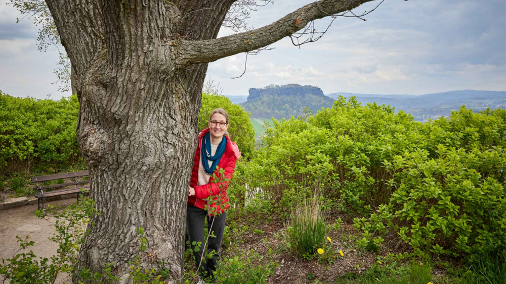 Kuratorin Dr. Stefanie Krihning an der 200 Jahre alten Hochzeitseiche der Festung Königstein. Sie ist eine der Stationen der Führungen zur Sonderausstellung   © Marko Förster/Festung Königstein gGmbH