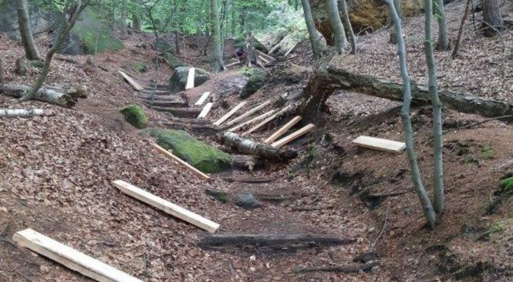 Foto: H. Rößler  Weit überwiegend in Handarbeit ersetzten Mitarbeiter der Nationalparkverwaltung Sächsische Schweiz und beauftragter Firmen im ersten Halbjahr 2023 über 760 verwitterte oder abgetretene Stufen auf den vielbegangenen Wanderwegen, über 200 davon allein im Steilhang des Lehnsteigs.