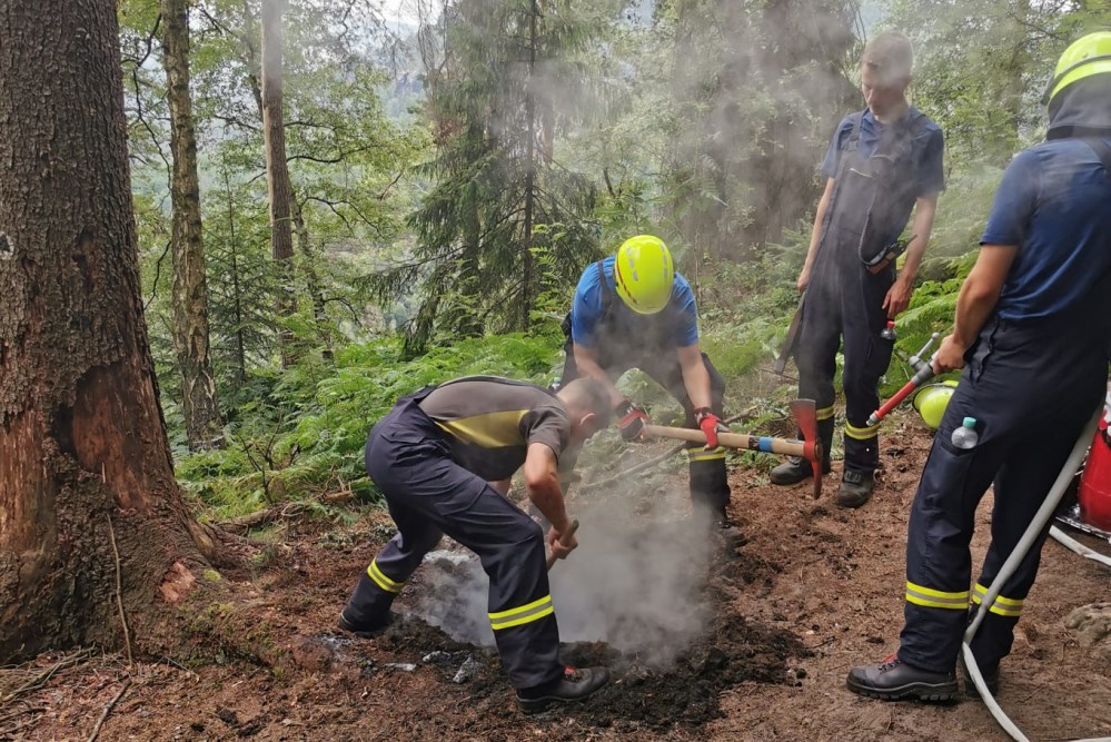 Foto: K. Bigge Die Freiwillige Feuerwehr und die Nationalparkwacht mussten zum dritten Mal innerhalb von nur zweieinhalb Wochen eine illegale Feuerstelle im Nationalpark löschen. Erneut haben sich die Brandverursacher an eine versteckte Stelle im Nationalpark zurück gezogen und das Feuer auf dem Waldboden mit viel Nadelstreu entfacht und erneut haben sie es nicht vollständig abgelöscht. Glücklicherweise haben aufmerksame Wanderer den Brandgeruch wahrgenommen und die Feuerwehr alarmiert. Mit Löschrucksäcken und Waldbrandhacken musste das Feuer abseits der Wanderwege gelöscht werden.