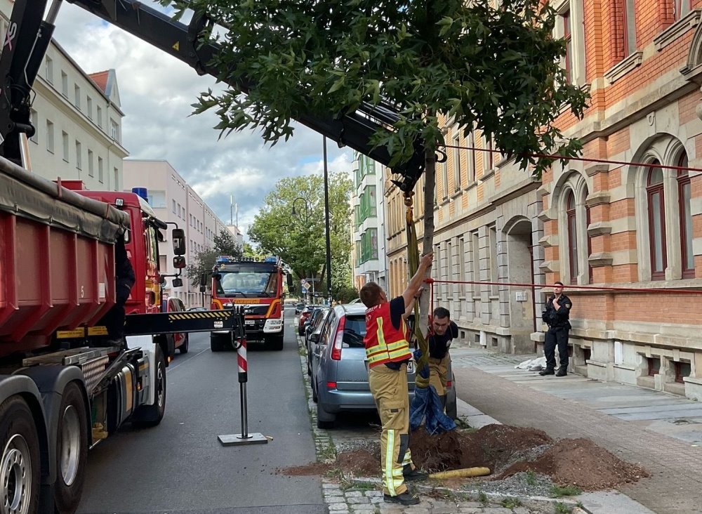 © Feuerwehr Dresden Mit einem Kran wird der Baum gesichert und mit Schaufeln ausgegraben.