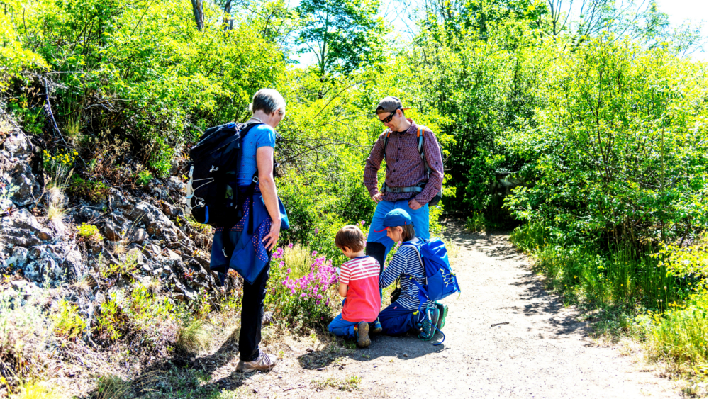 Am familienfreundlichen Bergwiesen-Lehrpfad lernen nicht nur Kinder die Tiere und Pflanzen des Harzes kennen. Foto: DJD/Tourismusbetrieb Oberharz am Brocken/Jan Reichel