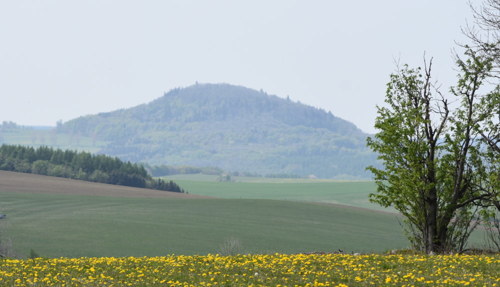 Foto: © MeiSachsen