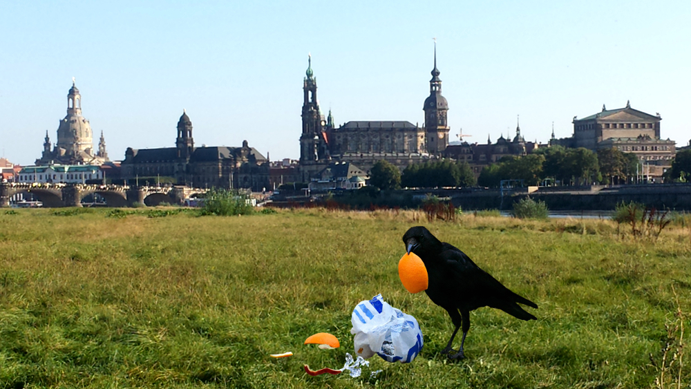 Am Samstag findet der World Cleanup Day  statt. Auch in Dresden wird zur Putzaktion an der Elbe aufgerufen. ©MeiDresden.de (Bildmontage)