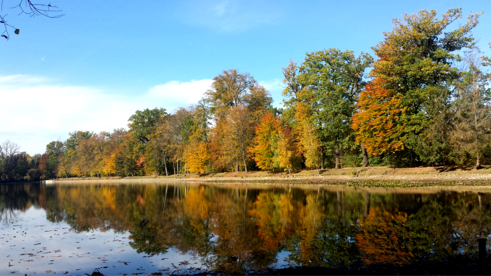 Wie hier im Schlopark Hermsdorf zeigt sich der Herbst in seiner ganzen Farbenpracht ©MeiDresden.de