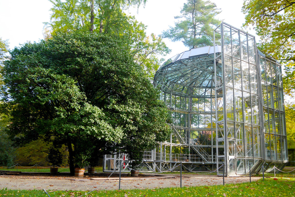 Kamelienhausverschiebung  Foto: © Staatliche Schlösser, Burgen und Gärten Sachsen gemeinnützige GmbH 