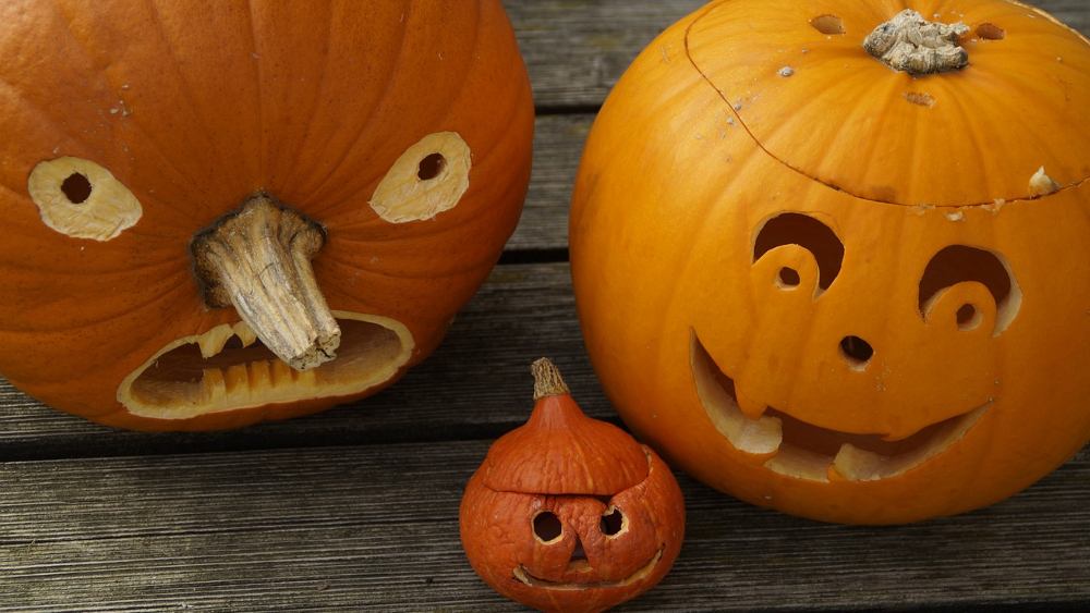 Das Gruselwetter zu Halloween - Mehr „Saures“ als „Süßes“ aus der Wetterhexenküche ©Symbolfoto(pixabay)