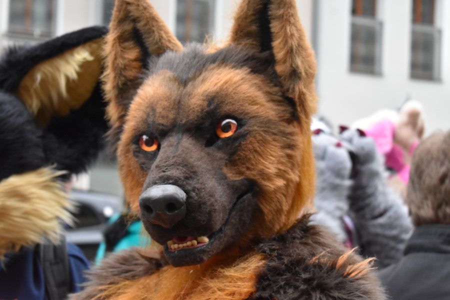 Am Dienstagnachmittag, zum Feiertag liefen rund 60 Furrys über die Brühlsche Terrasse und zogen so manchen verwunderten Blick auf sich.   Foto: © MeiDresden.de/Mike Schiller