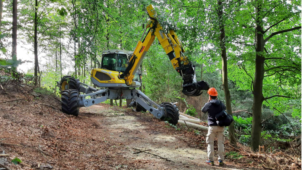 Eine Fachfirma aus der Sächsischen Schweiz fällt im Auftrag der Nationalparkverwaltung vorsorglich abgestorbene Fichten entlang eines Einsatzweges. Die letzten unpassierbaren Wanderwege haben Mitarbeiter der Nationalparkverwaltung mit Motorsägen frei geschnitten. ©Hp. Mayr