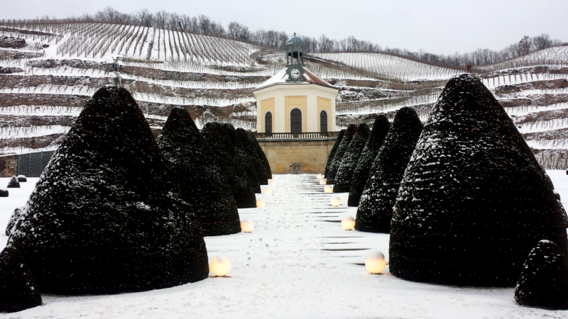 Wein und Licht auf Schloß Wacckerbarth, bei Eibruch der Dunkelheit werden Schloss und die Weinberge in ein romantisches Licht getaucht ©MeiDresden.de