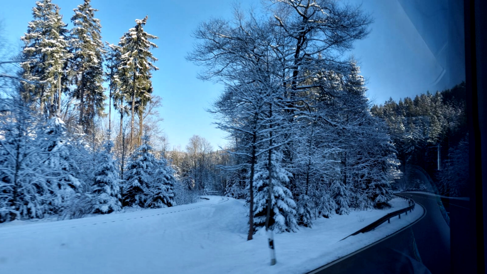 Schneeflocken zum Wochenende - Erste Vorzeichen des Winters in Sicht ©MeiDresden.de