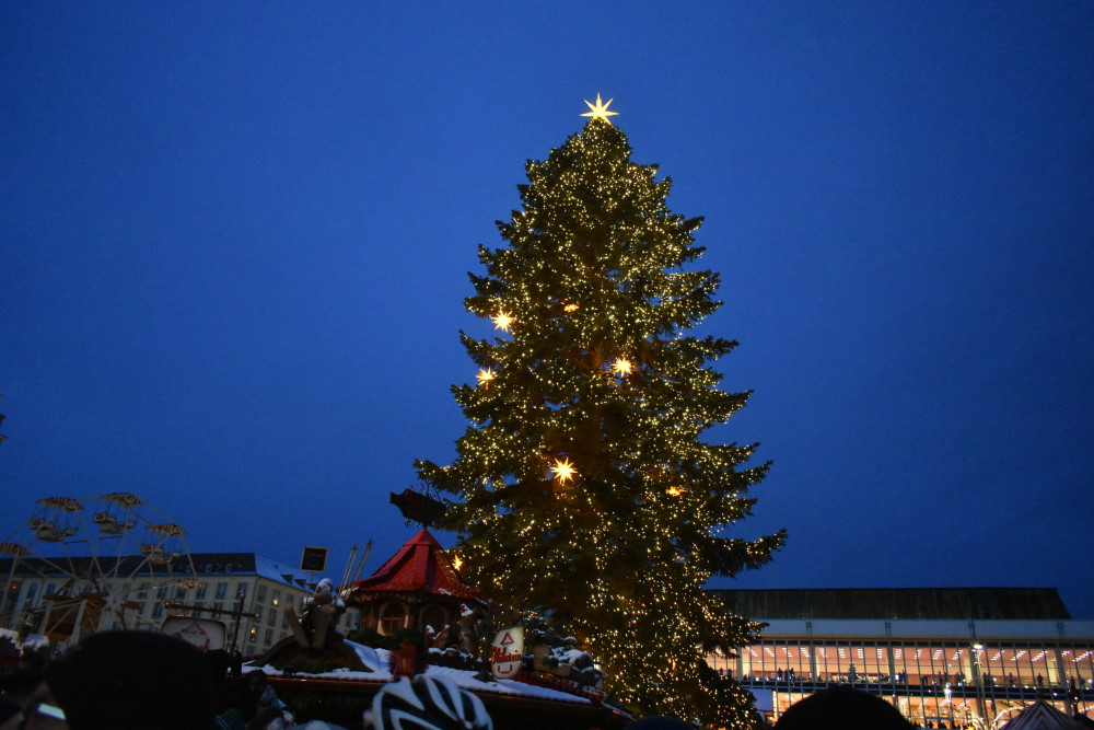 Foto: MeiDresden.de