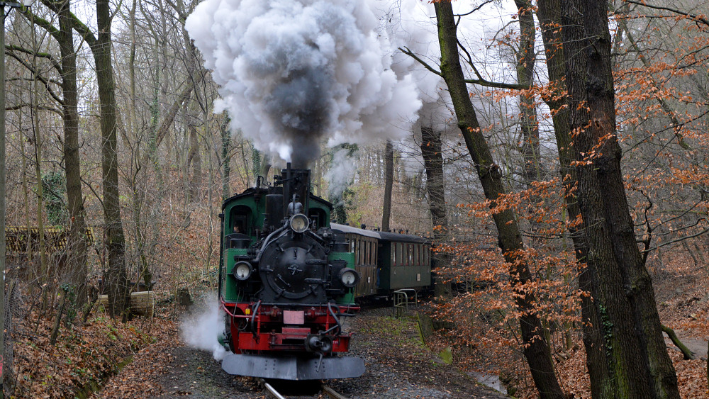 Adventsfahrt durch den Lößnitzgrund ©Traditionsbahn Radebeul e.V.