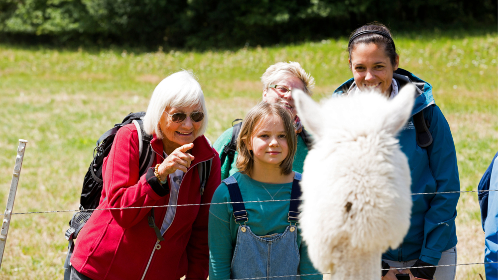 Wer Tiere liebt, kommt in den Abenteuer- und Erlebniscamps ebenfalls nicht zu kurz. Foto: DJD/WWF Deutschland/Claudia Masur