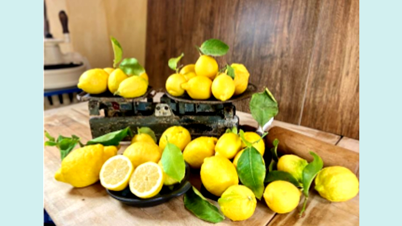 Frische Zitronen für die Kundschaft ©KeXerei