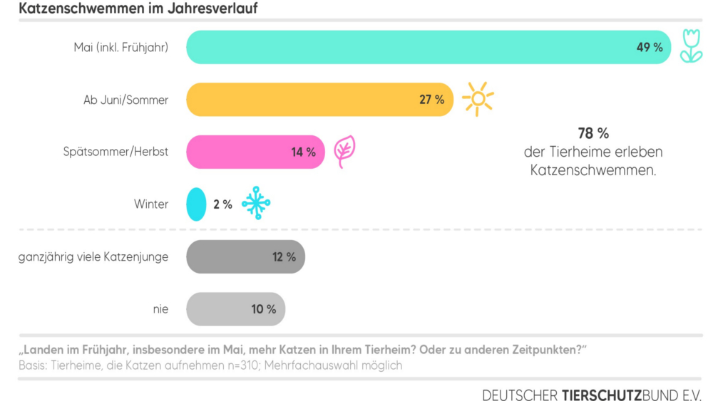 Grafik Katzenschutz Katzenschwemme ©Deutscher Tierschutzbund