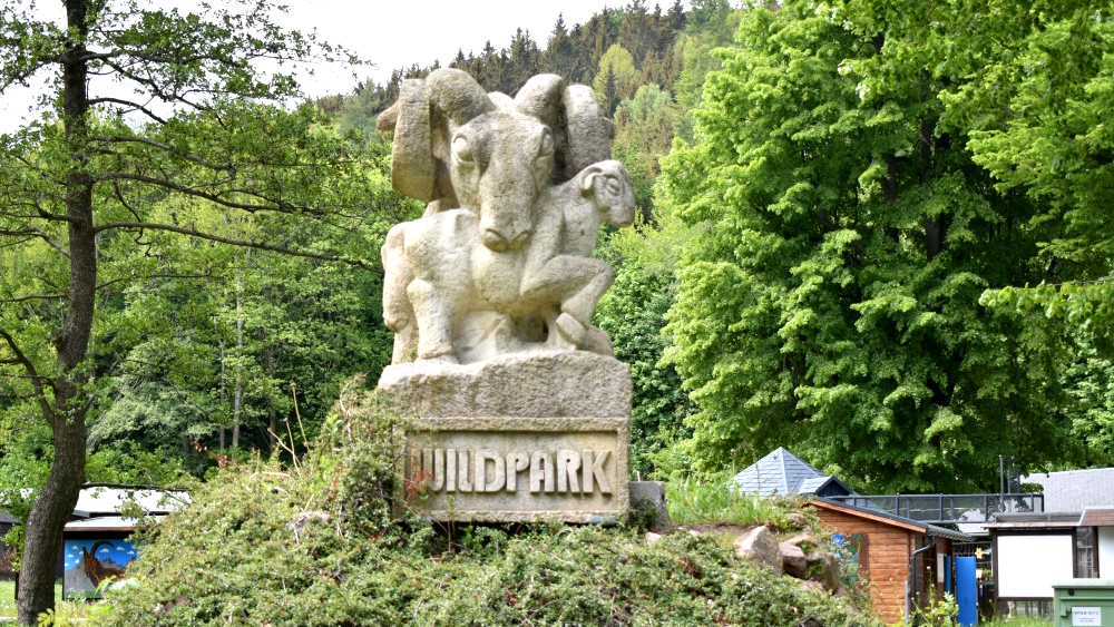 Natur und Erlebnisse im Osterzgebirge wie hier im Wildpark in Geising ©MeiDresden.de