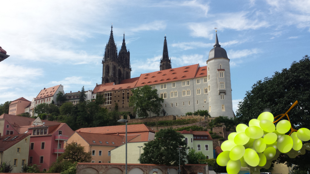 Meissen und Wein gehören einfach zusammen  © MeiDresden.de