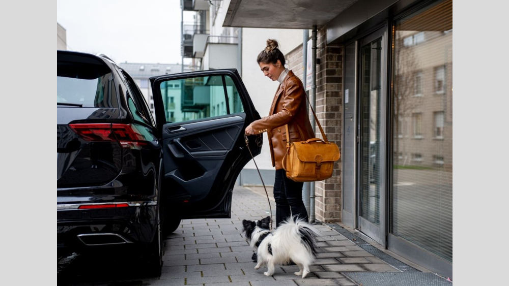 auch Hunde sollten nicht längere  Zeit im heißen Auto allein bleiben ©DEKRA