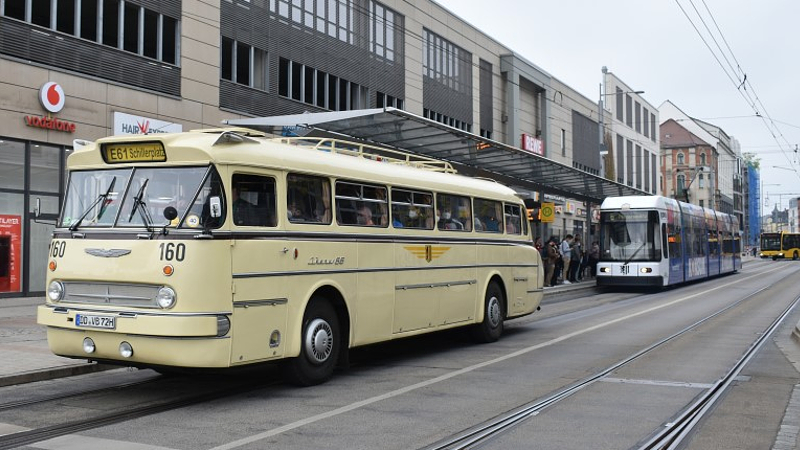 Auch Nahverkehrsoldies wie der Ikarus 66 sind auf dem Stadtfest für Rundfahrten im Einsatz ©MeiDresden.de