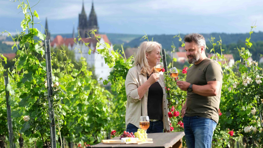 Weingenuss in den Weinbergen von Meissen © TVED Claudia Hubschmann