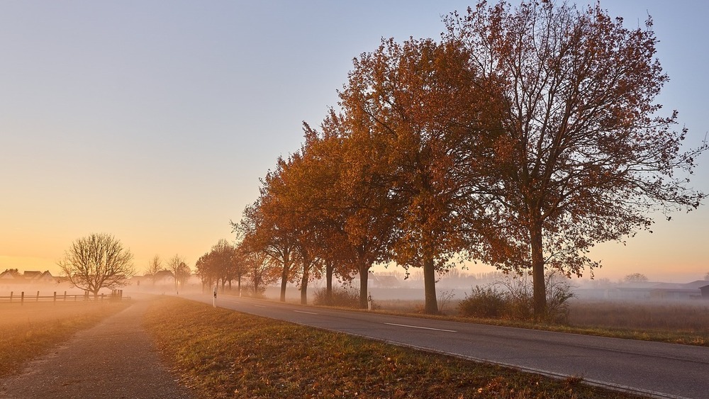 Besondere Aufmerksamkeit ist bei Nebel geboten  ©  Markus Distel (Pixabay)