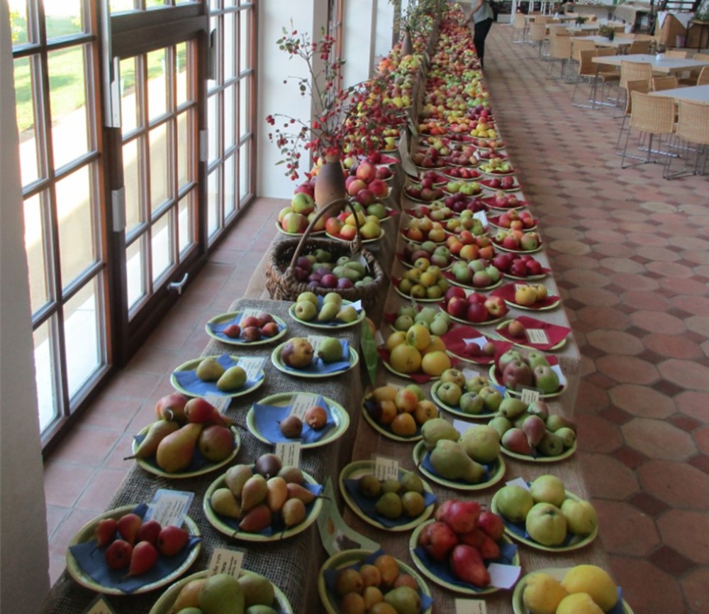 © Sächsische Landesstiftung Natur und Umwelt