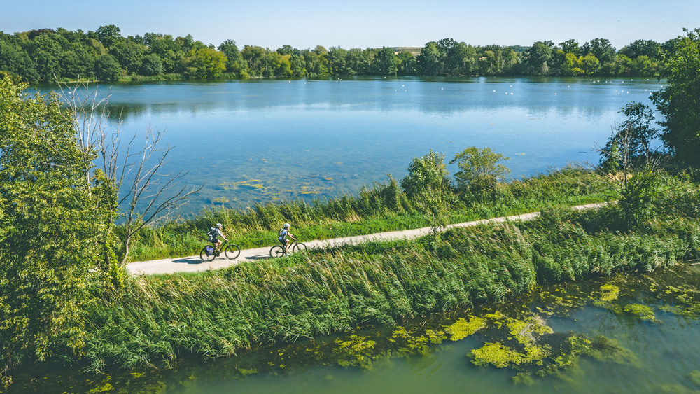 Radfahren entlang des Zwillingsradwegs - wie hier im Unesco Biosphärenreservat Oberlausitzer Heide- und Teichlandschaft. Foto: DJD/Oberlausitz-Niederschlesien/Philipp Herfort
