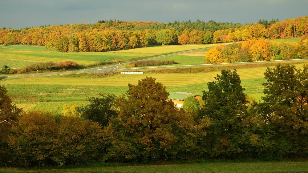 Hoch WERNER bringt uns ein Stück "goldenen Oktober"   © Symbolfoto  (Pixabay)