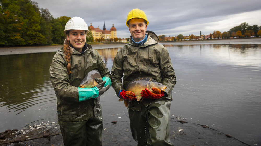 Fisch und Waldfest Moritzburg © PR /Silvio Dittrich