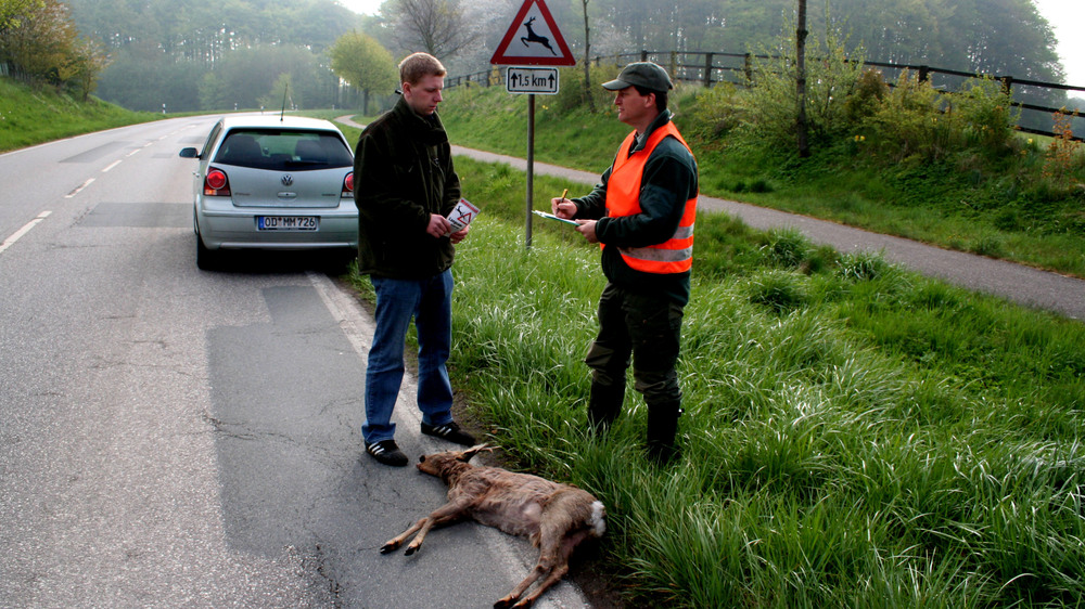 Durchschnittlich alle zweieinhalb Minuten ereignet sich in Deutschland ein Wildunfall. Auf Landstraßen ist die Gefahr besonders groß. Foto: DJD/DJV/Börner