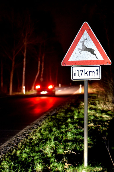 Beim Warnschild "Wildwechsel" und schlechter Sicht heißt es: Fuß vom Gas und wachsam sein. Foto: DJD/DJV/Kapuhs