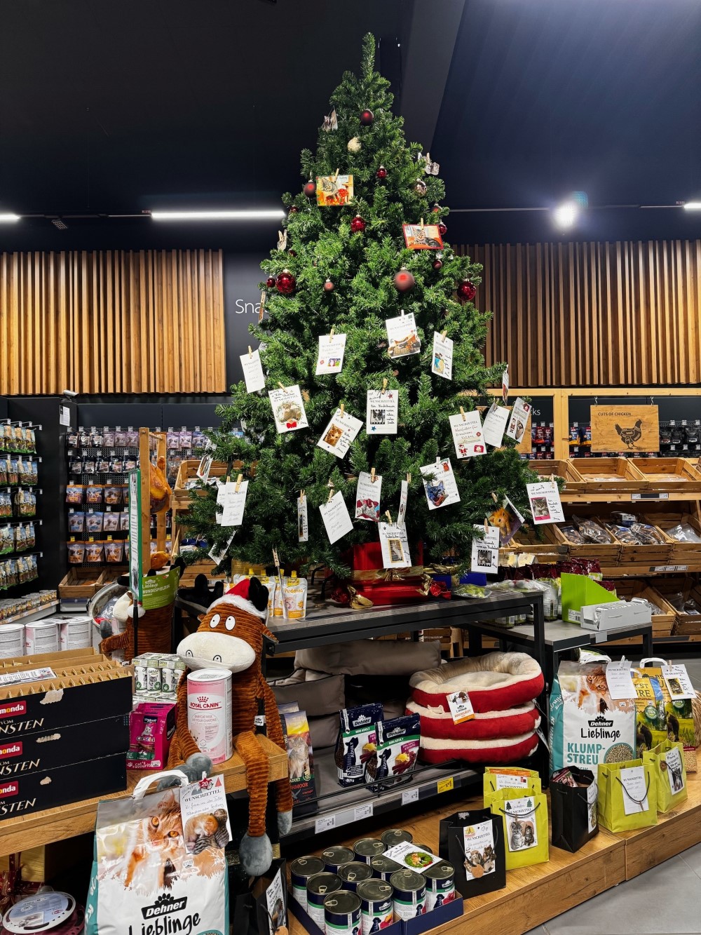 Weihnachtswunschbaum Foto: dehner.de 