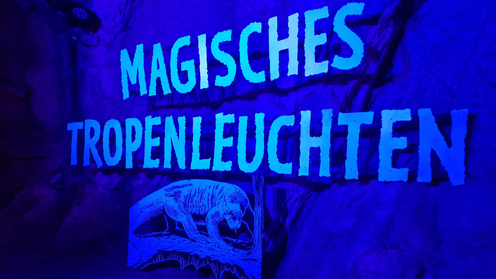 Magisches Tropenleuchten beginnt am Donnerstag. Foto: Zoo Leipzig 