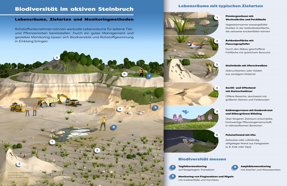 GiBBS Infografik Foto: IOEW UM Leitner