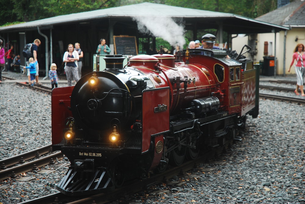 Mit Volldampf geht es ins 75. Jubiläum der Dresdner Parkeisenbahn. Foto: MeiDresden.de