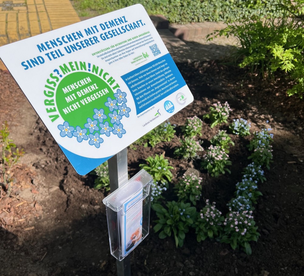 Vergissmeinnicht Pflanzaktion zum Tag der Demenz. Foto: Simone Vierkant