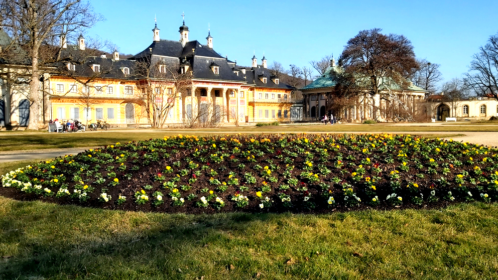 Mittlerweile werden auch die ersten Parks und Gärten mit Frühlingsblumen bepflanzt. Foto: MeiDresden.de