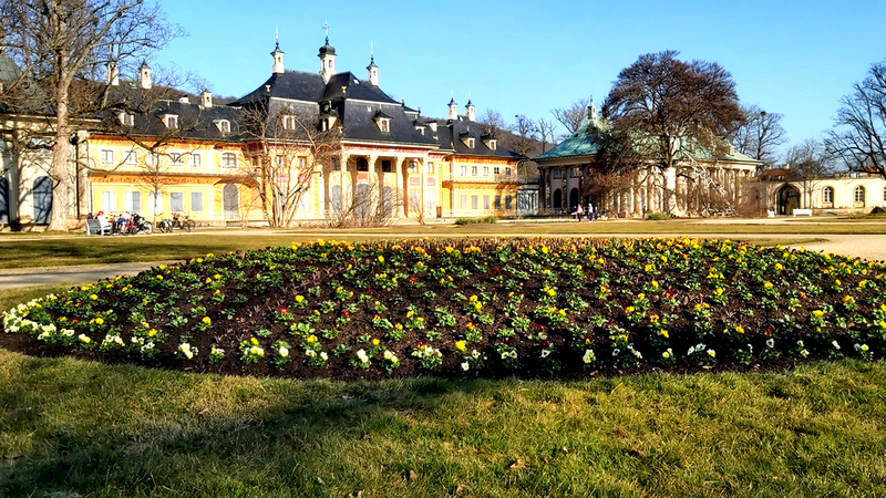 Im Schloss und Park Pillnitz startet die Frühlingszeit. Foto: MeiDresden.de