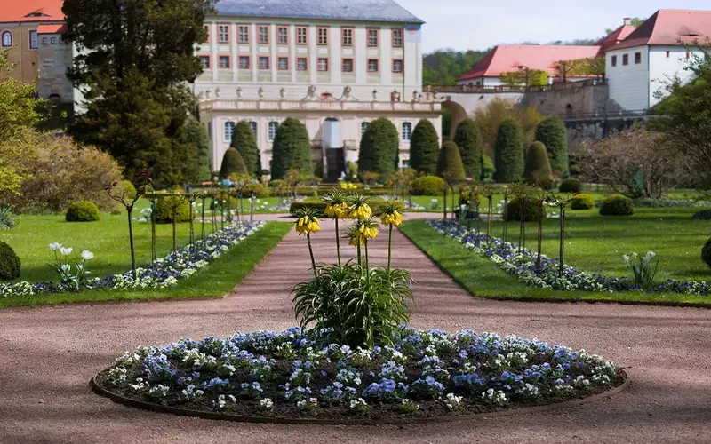 Weesenstein  Park Gelbe Kaiserkronen. Foto: Carlo Böttger 