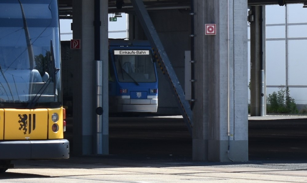 Ganz versteckt  © MeiDresden.de