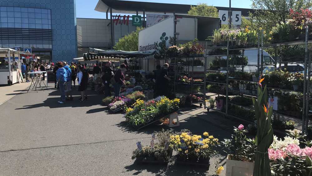 Auch die Gartenwelt mit Blumen und Pflanzen ist mit dabei. Foto: PR
