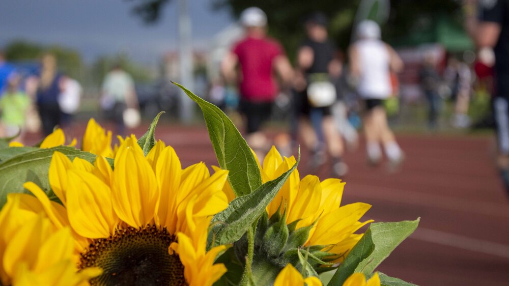 "Laufend gegen Krebs. Foto: Sächsische Krebsgesellschaft e.V.
