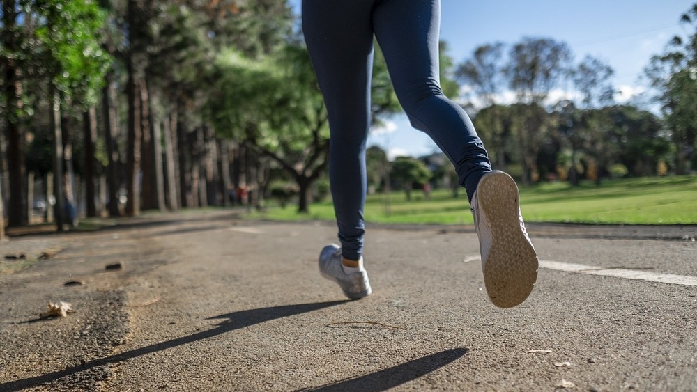 45. Sachsenlauf lädt jung und alt  nach Coswig ein Symbolfoto (Pixabay)