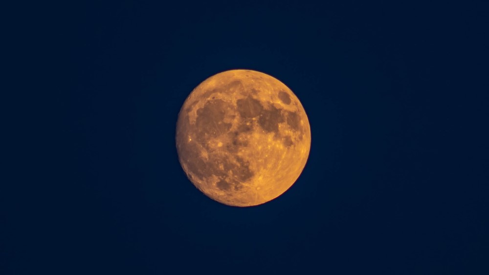 Foto: Sylvio Müller