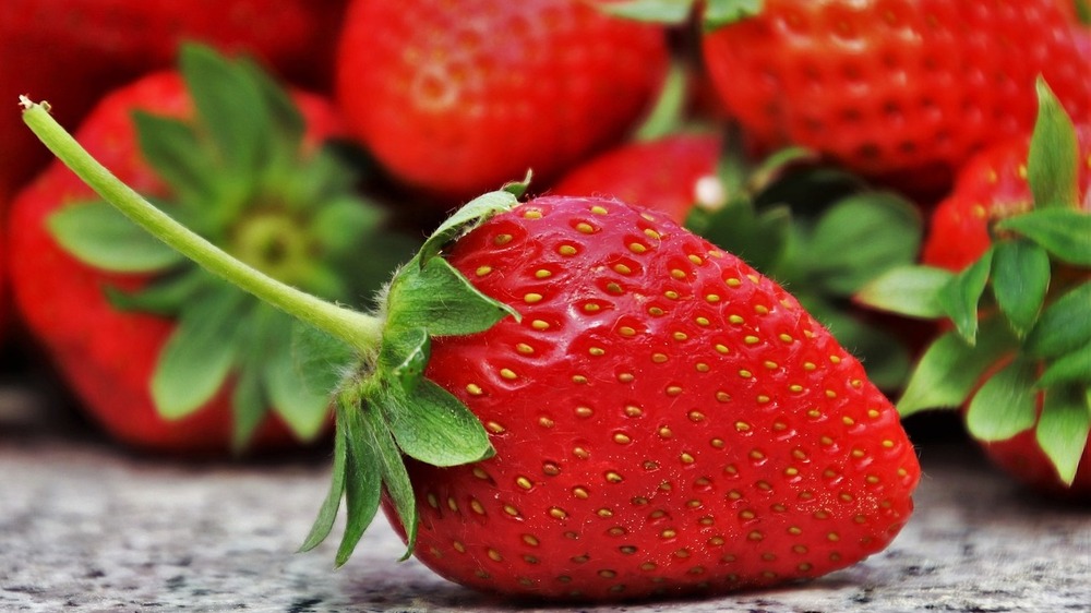 Erdbeeren im Test Bio-Früchte gewinnen den Pestizid-Check. Symbolfoto (Pixabay)