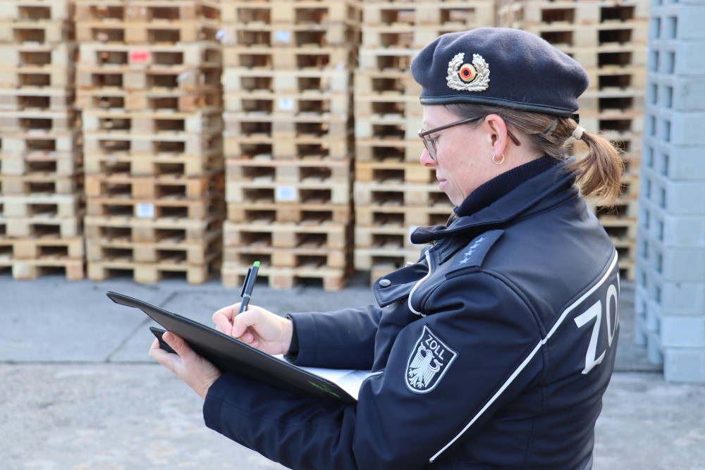 Erfassungsbogen © Zoll