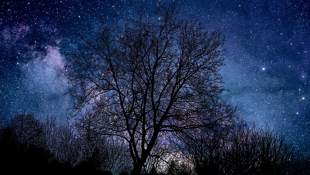 Zeit der Leuchtenden Nachtwolken - Magische Silberschleier am Nordhimmel. Symbolfoto (Pixabay)