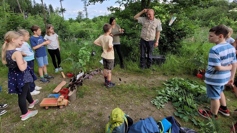 Bei den 25. Waldjugendspielen in der Nationalparkregion Sächsische Schweiz lernten die Kinder an der Station „Baum und Holz“ mit Rangerin Nicole Aulitzky (m. l. hinten) von der Naturwacht und Frank Strohbach (m. r.) von der Nationalparkwacht verschiedene Bäume, ihr Holz und dessen Verwendung kennen. Foto: HP Mayr