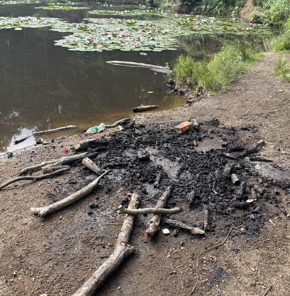 Feuer am Seerosenteich   Foto: Freiwillige Feuerwehr Coswig  