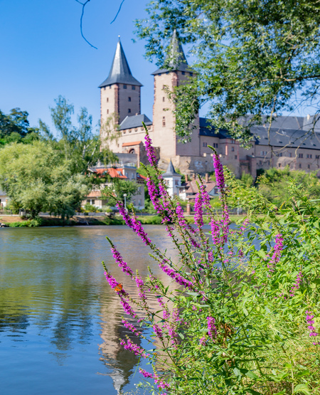 Sommer Spiegelbild Schloss Rochlitz. Forto: Sebastian Rose 